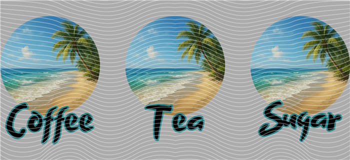 16oz Latest Bestseller-C 2677